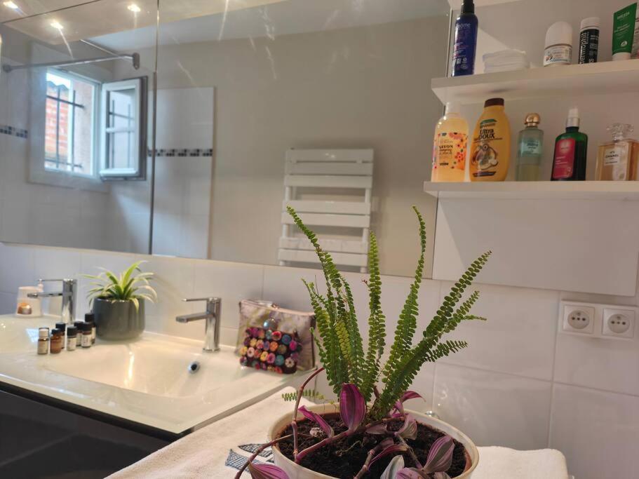 T2 54m² Parking Coeur De *